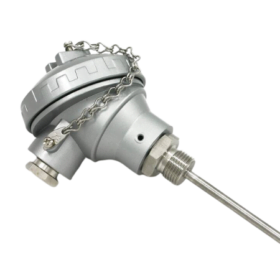 Pt100 Duplex 6-wire Resistance Temperature Detector (RTD), KNE Head